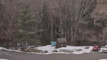 Weather camera view of John Dorr Nature Lab-Horace Mann School.