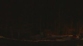 Weather camera view of John Dorr Nature Lab-Horace Mann School.