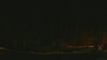 Weather camera view of John Dorr Nature Lab-Horace Mann School.