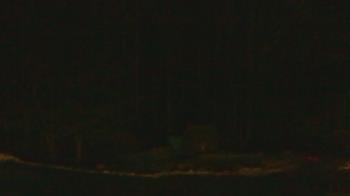 Weather camera view of John Dorr Nature Lab-Horace Mann School.