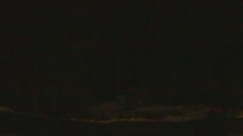 Weather camera view of John Dorr Nature Lab-Horace Mann School.