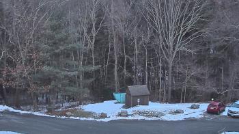 Weather camera view of John Dorr Nature Lab-Horace Mann School.