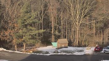 Weather camera view of John Dorr Nature Lab-Horace Mann School.