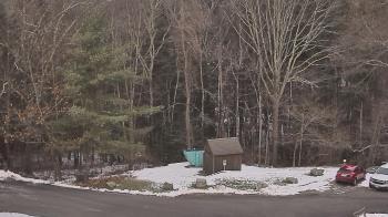 Weather camera view of John Dorr Nature Lab-Horace Mann School.