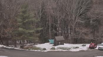 Weather camera view of John Dorr Nature Lab-Horace Mann School.