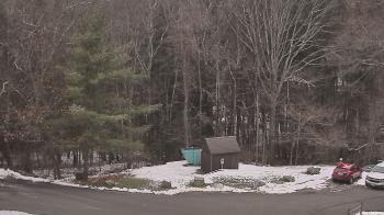 Weather camera view of John Dorr Nature Lab-Horace Mann School.