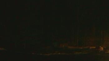 Weather camera view of John Dorr Nature Lab-Horace Mann School.