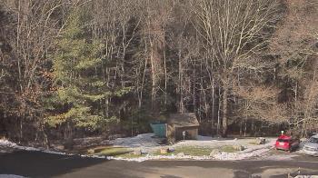 Weather camera view of John Dorr Nature Lab-Horace Mann School.