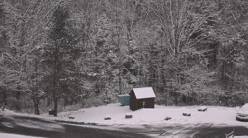 Weather camera view of John Dorr Nature Lab-Horace Mann School.