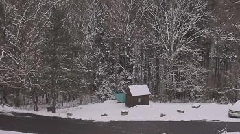 Weather camera view of John Dorr Nature Lab-Horace Mann School.