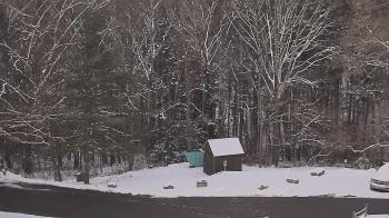 Weather camera view of John Dorr Nature Lab-Horace Mann School.