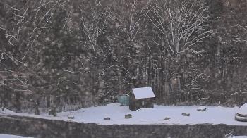 Weather camera view of John Dorr Nature Lab-Horace Mann School.