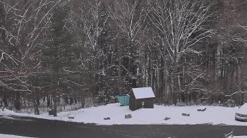 Weather camera view of John Dorr Nature Lab-Horace Mann School.