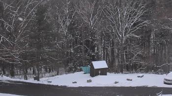 Weather camera view of John Dorr Nature Lab-Horace Mann School.