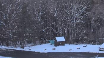 Weather camera view of John Dorr Nature Lab-Horace Mann School.