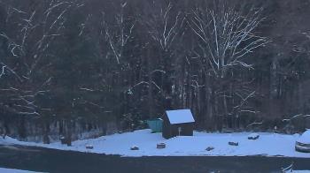 Weather camera view of John Dorr Nature Lab-Horace Mann School.