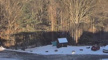 Weather camera view of John Dorr Nature Lab-Horace Mann School.