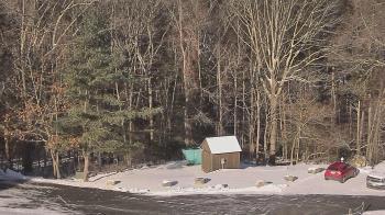 Weather camera view of John Dorr Nature Lab-Horace Mann School.