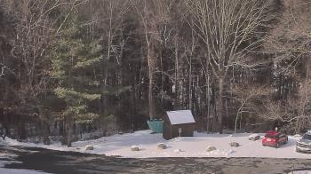 Weather camera view of John Dorr Nature Lab-Horace Mann School.