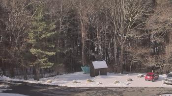 Weather camera view of John Dorr Nature Lab-Horace Mann School.