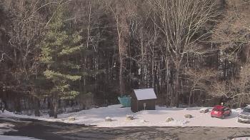 Weather camera view of John Dorr Nature Lab-Horace Mann School.