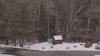 Weather camera view of John Dorr Nature Lab-Horace Mann School.