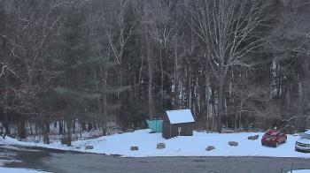Weather camera view of John Dorr Nature Lab-Horace Mann School.