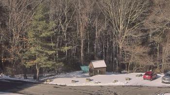 Weather camera view of John Dorr Nature Lab-Horace Mann School.