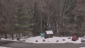 Weather camera view of John Dorr Nature Lab-Horace Mann School.