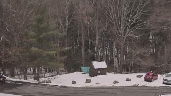 Weather camera view of John Dorr Nature Lab-Horace Mann School.