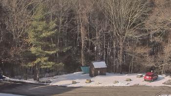 Weather camera view of John Dorr Nature Lab-Horace Mann School.