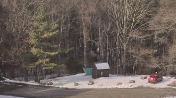 Weather camera view of John Dorr Nature Lab-Horace Mann School.