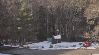Weather camera view of John Dorr Nature Lab-Horace Mann School.