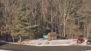 Weather camera view of John Dorr Nature Lab-Horace Mann School.