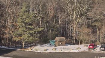 Weather camera view of John Dorr Nature Lab-Horace Mann School.