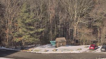 Weather camera view of John Dorr Nature Lab-Horace Mann School.