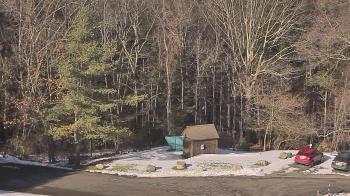 Weather camera view of John Dorr Nature Lab-Horace Mann School.