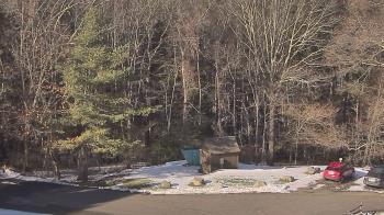 Weather camera view of John Dorr Nature Lab-Horace Mann School.