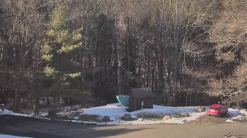 Weather camera view of John Dorr Nature Lab-Horace Mann School.