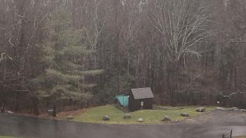 Weather camera view of John Dorr Nature Lab-Horace Mann School.