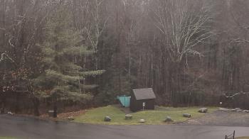 Weather camera view of John Dorr Nature Lab-Horace Mann School.