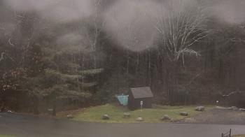 Weather camera view of John Dorr Nature Lab-Horace Mann School.