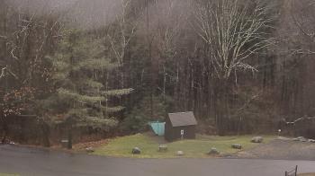 Weather camera view of John Dorr Nature Lab-Horace Mann School.