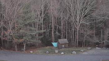 Weather camera view of John Dorr Nature Lab-Horace Mann School.