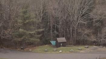 Weather camera view of John Dorr Nature Lab-Horace Mann School.