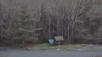 Weather camera view of John Dorr Nature Lab-Horace Mann School.