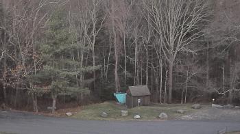 Weather camera view of John Dorr Nature Lab-Horace Mann School.