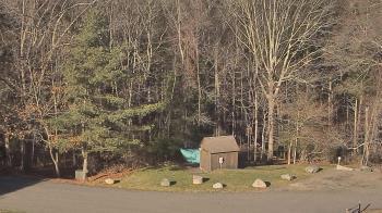 Weather camera view of John Dorr Nature Lab-Horace Mann School.