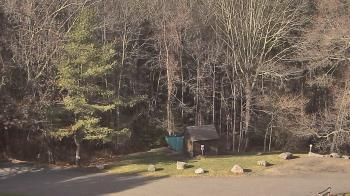 Weather camera view of John Dorr Nature Lab-Horace Mann School.