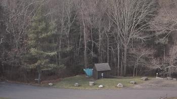 Weather camera view of John Dorr Nature Lab-Horace Mann School.